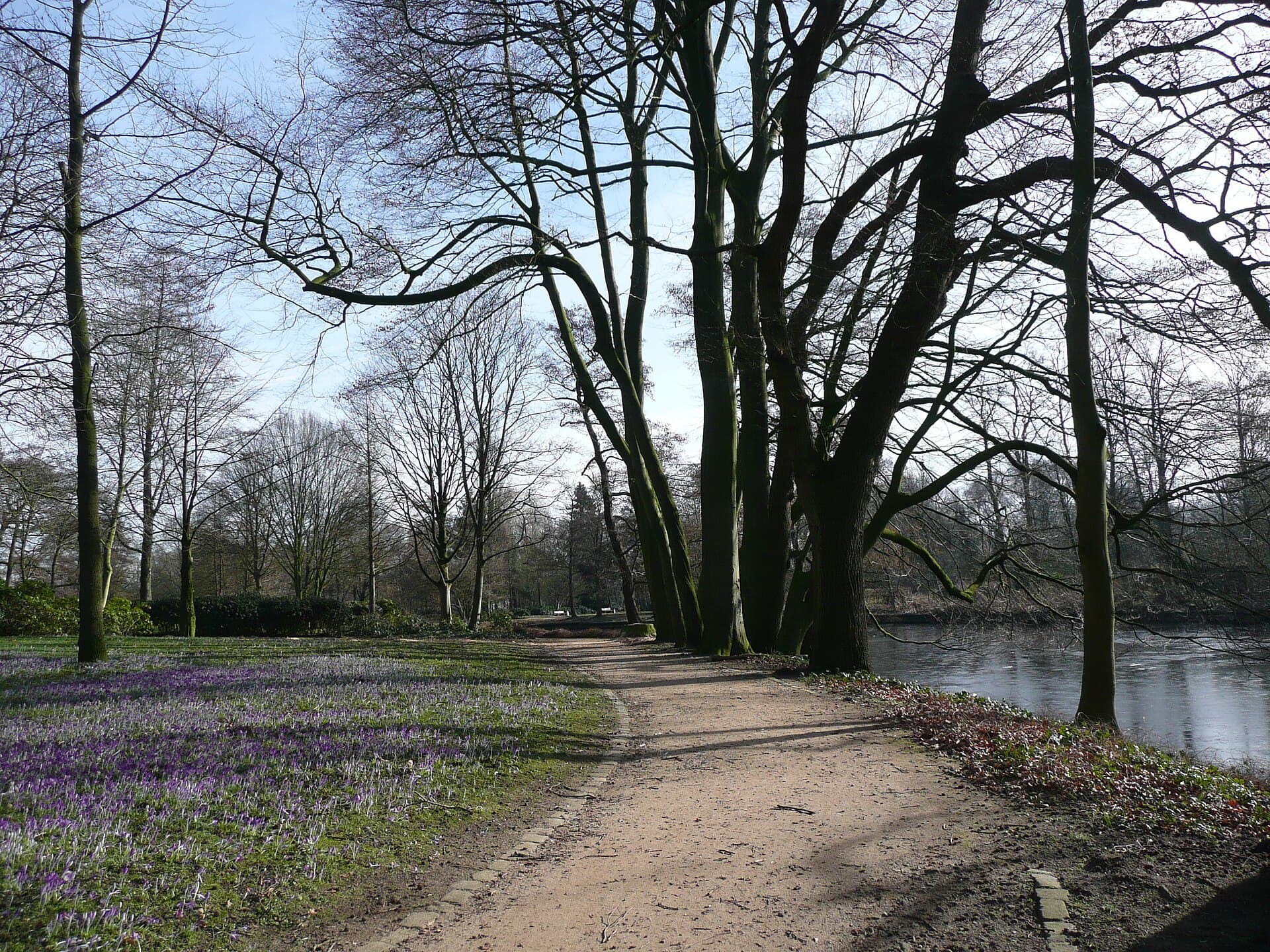 Graftanlage (Stadtpark)